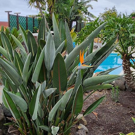 فيلا Oasis Hill Botanical Garden إيكود ذي لوس فينوس المظهر الخارجي الصورة