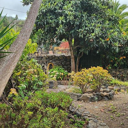 فيلا Oasis Hill Botanical Garden إيكود ذي لوس فينوس المظهر الخارجي الصورة