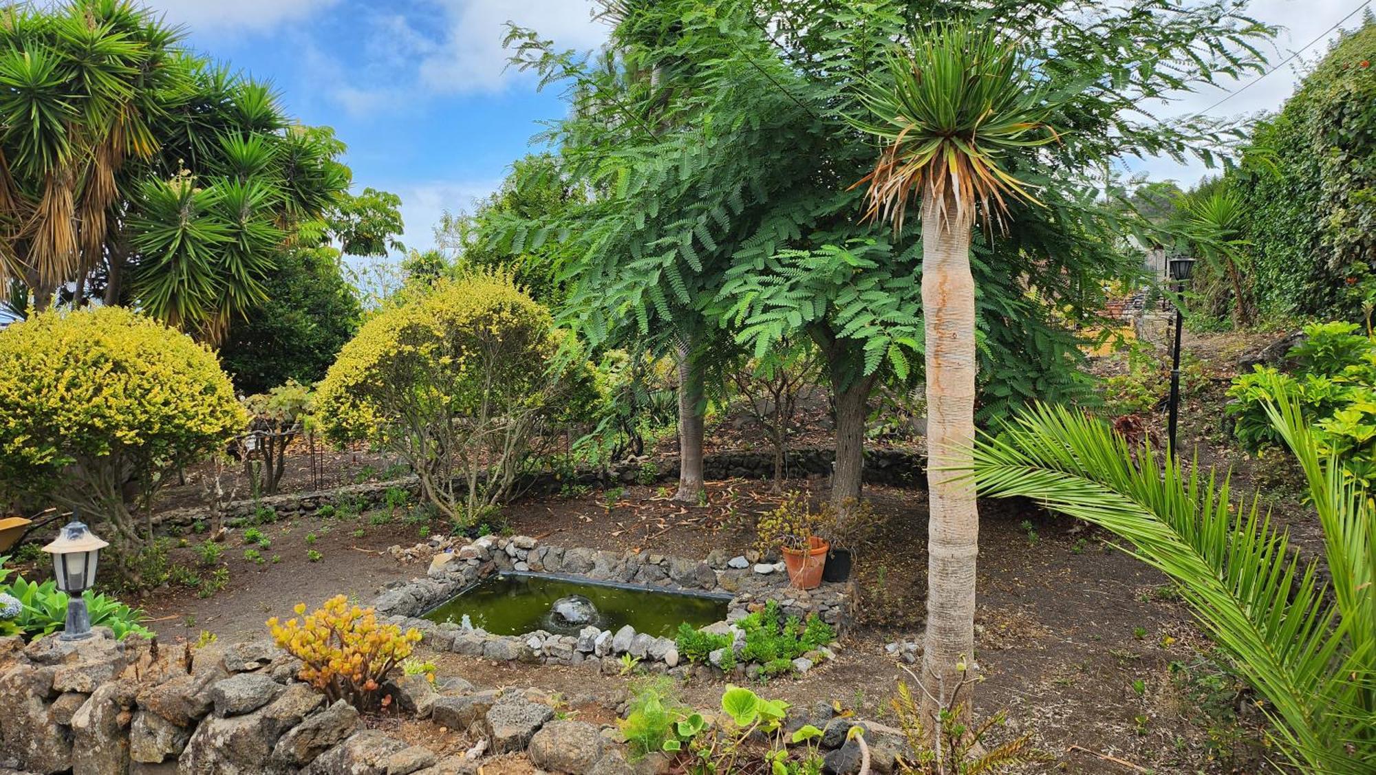فيلا Oasis Hill Botanical Garden إيكود ذي لوس فينوس المظهر الخارجي الصورة