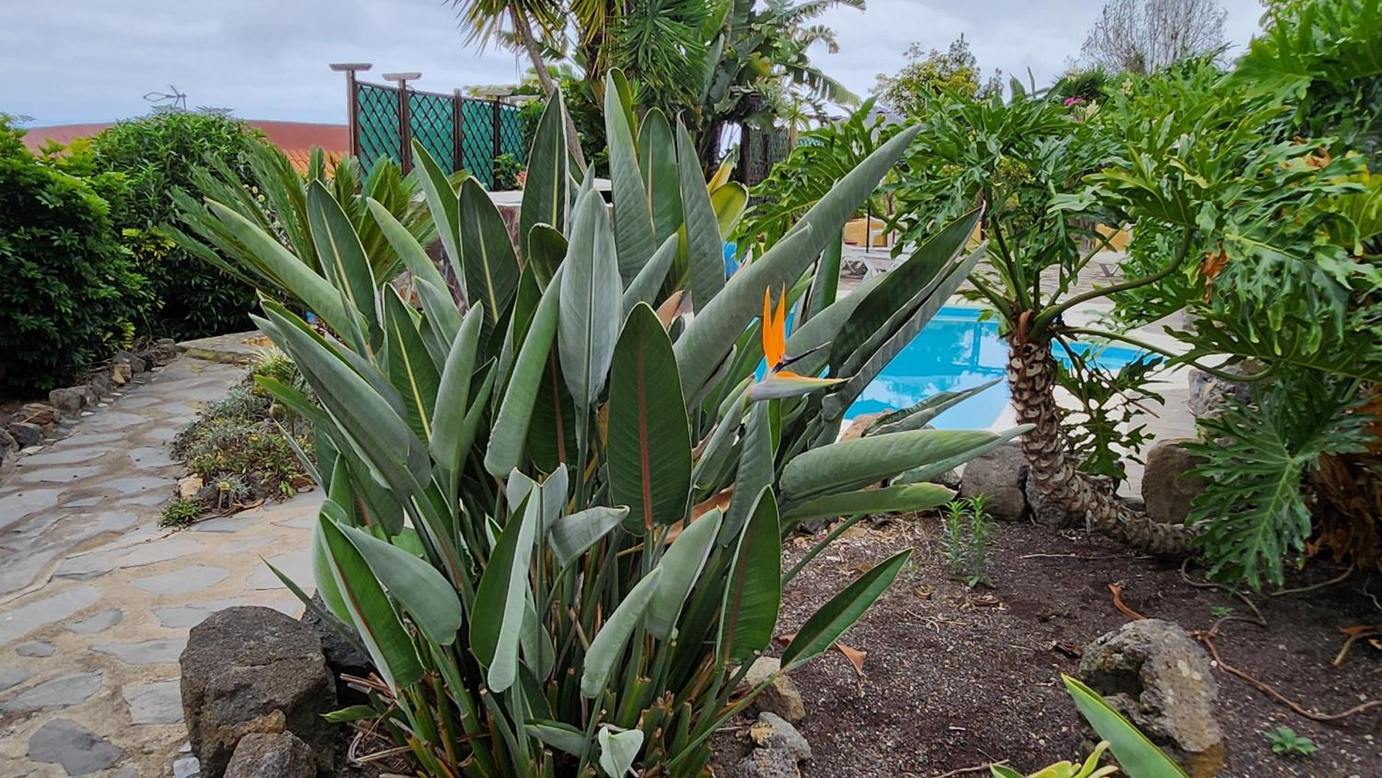 فيلا Oasis Hill Botanical Garden إيكود ذي لوس فينوس المظهر الخارجي الصورة