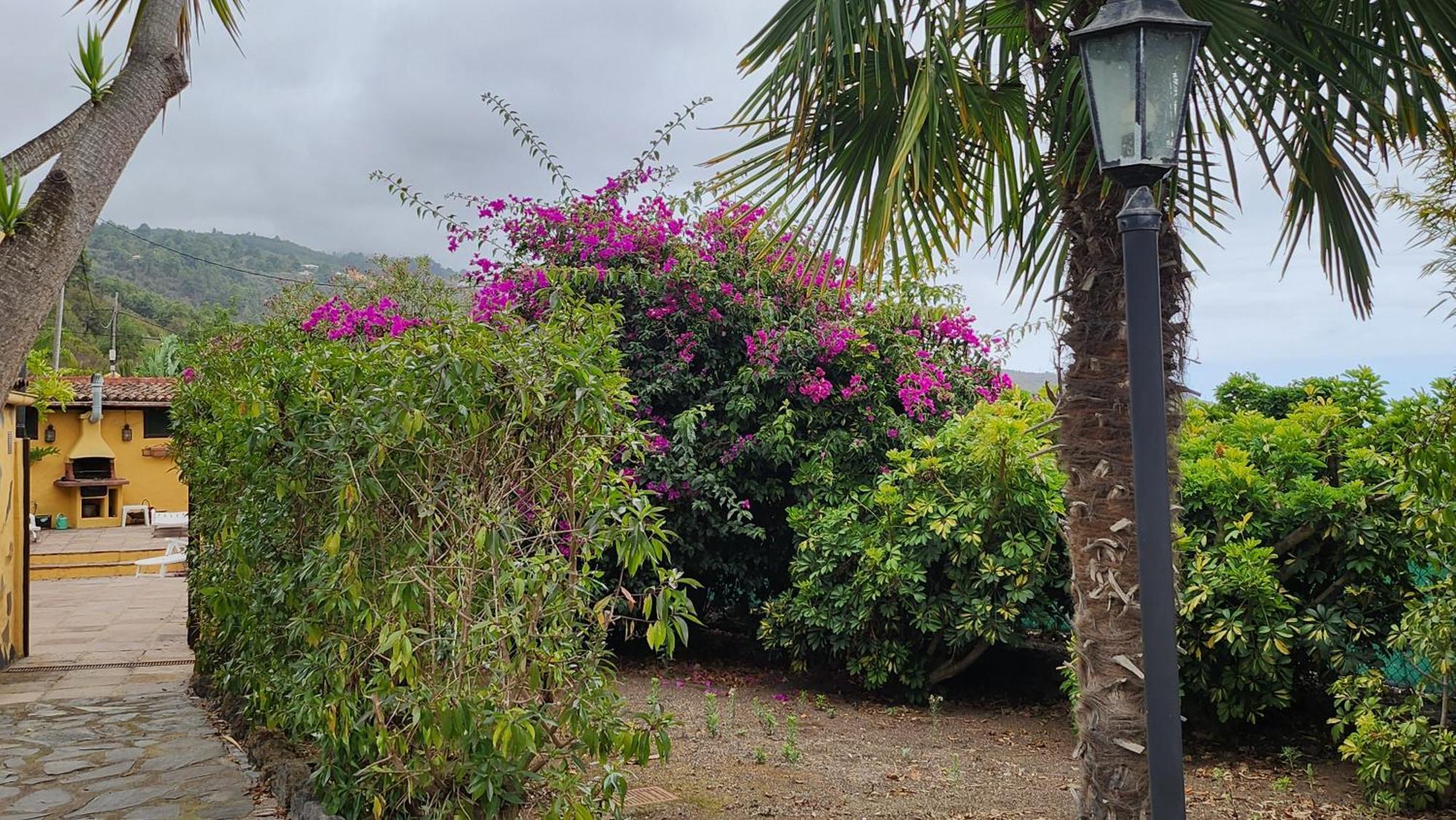 فيلا Oasis Hill Botanical Garden إيكود ذي لوس فينوس المظهر الخارجي الصورة