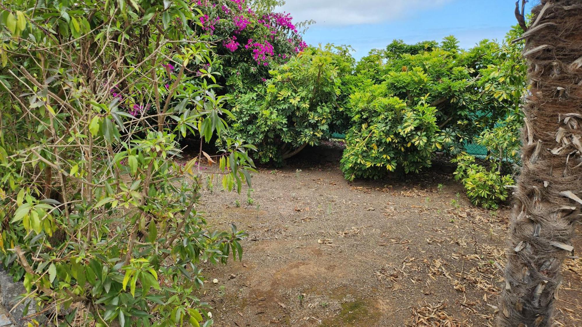 فيلا Oasis Hill Botanical Garden إيكود ذي لوس فينوس المظهر الخارجي الصورة