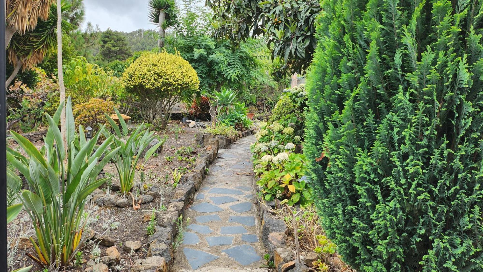 فيلا Oasis Hill Botanical Garden إيكود ذي لوس فينوس المظهر الخارجي الصورة