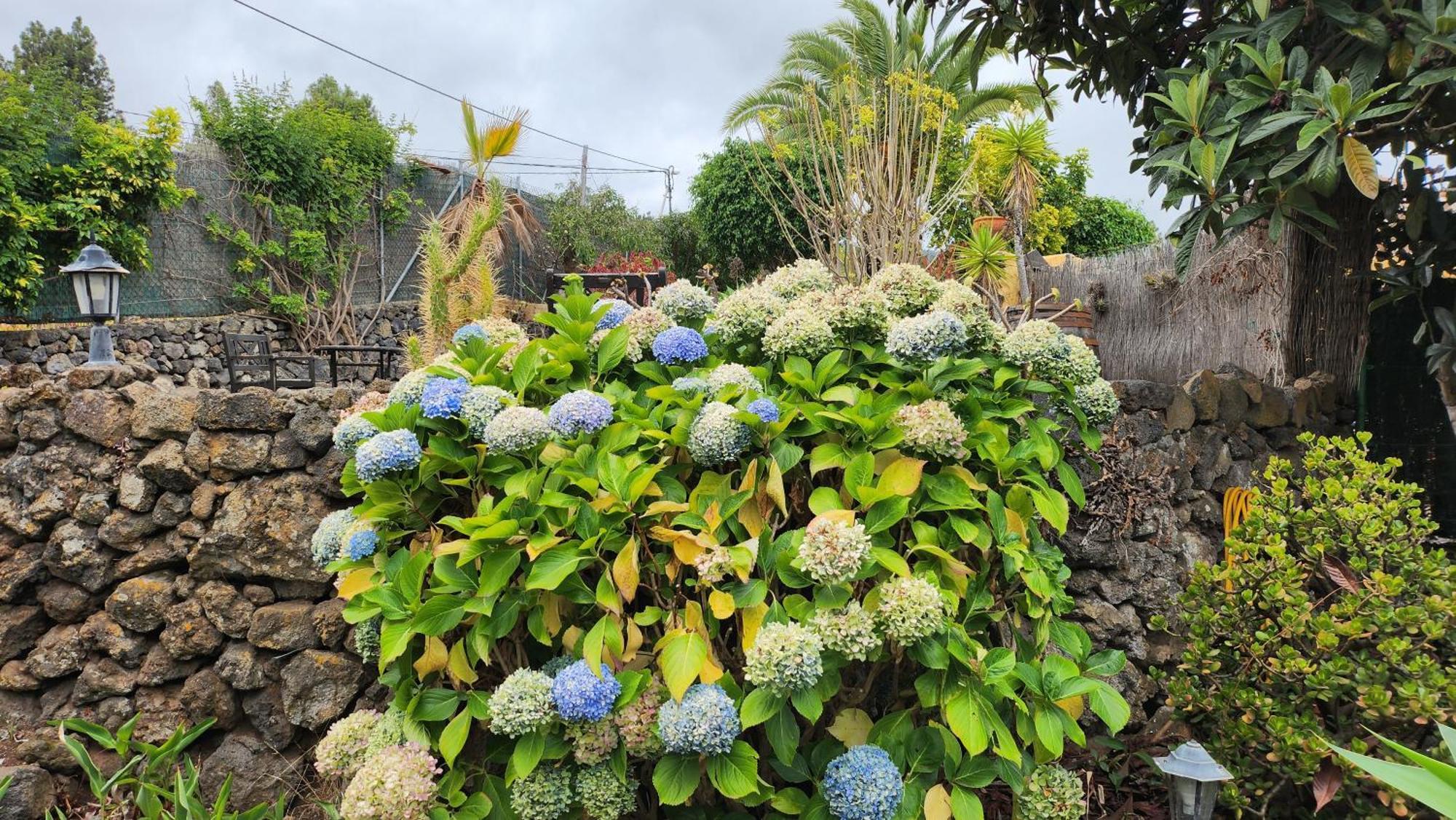 فيلا Oasis Hill Botanical Garden إيكود ذي لوس فينوس المظهر الخارجي الصورة