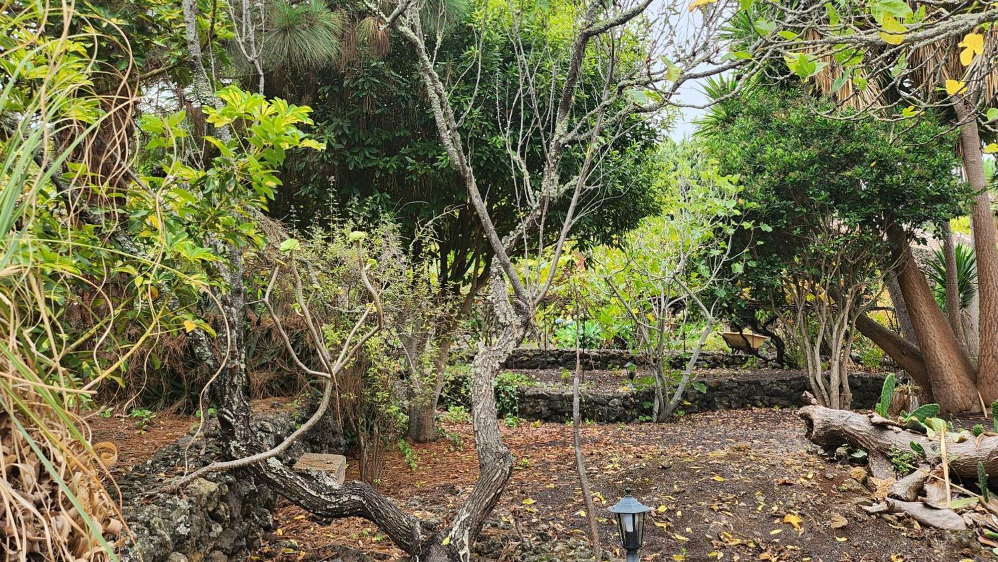 فيلا Oasis Hill Botanical Garden إيكود ذي لوس فينوس المظهر الخارجي الصورة