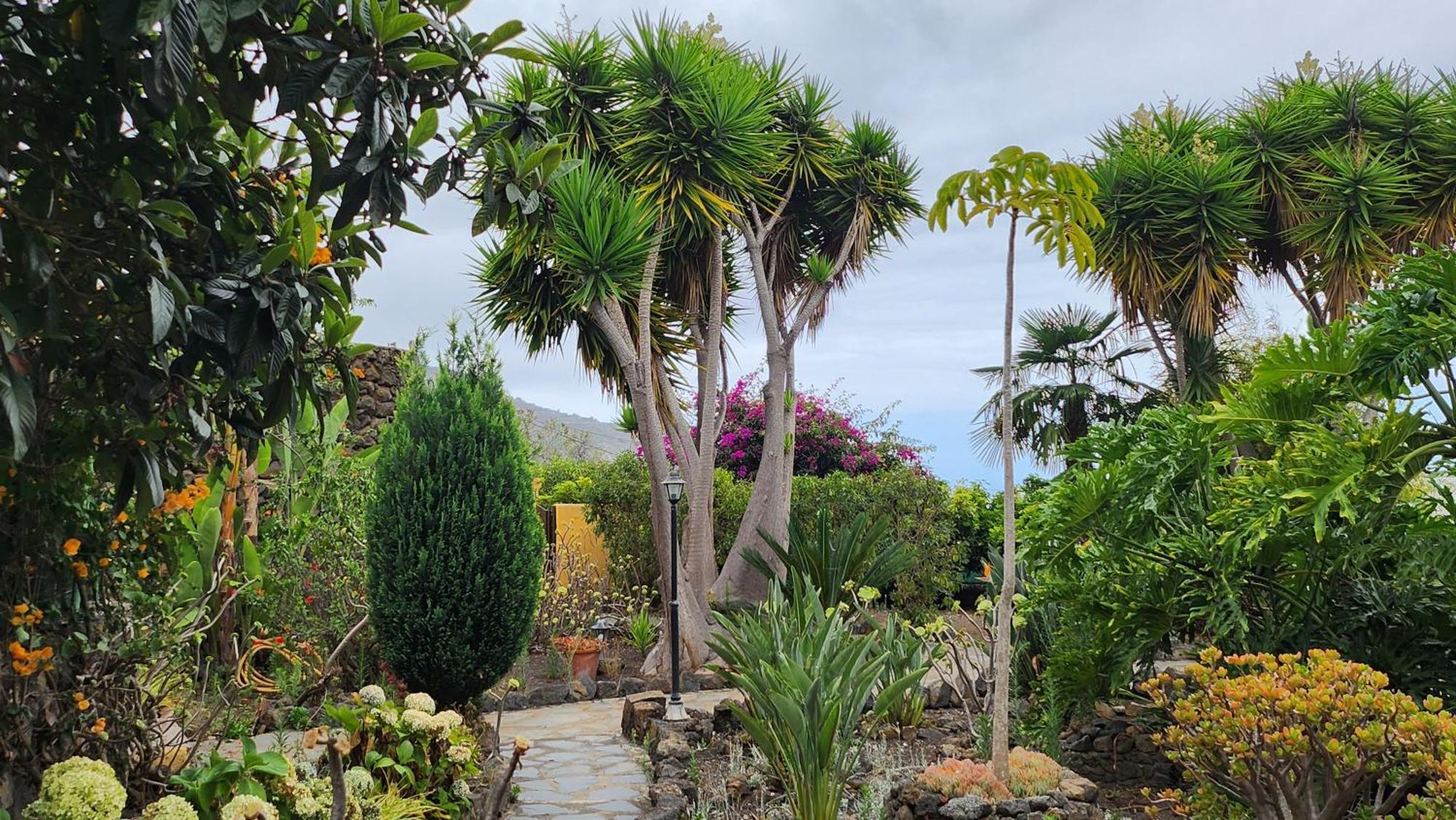 فيلا Oasis Hill Botanical Garden إيكود ذي لوس فينوس المظهر الخارجي الصورة