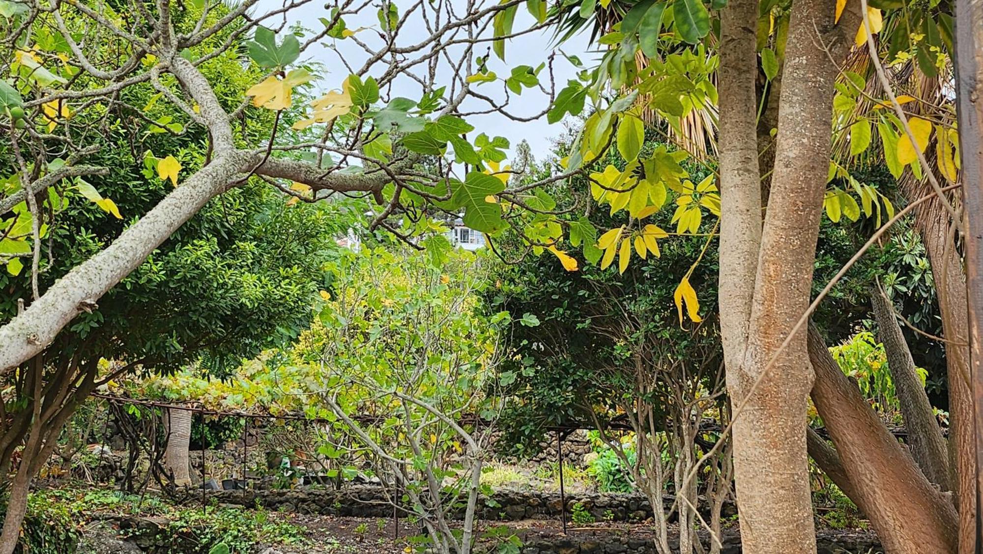 فيلا Oasis Hill Botanical Garden إيكود ذي لوس فينوس المظهر الخارجي الصورة