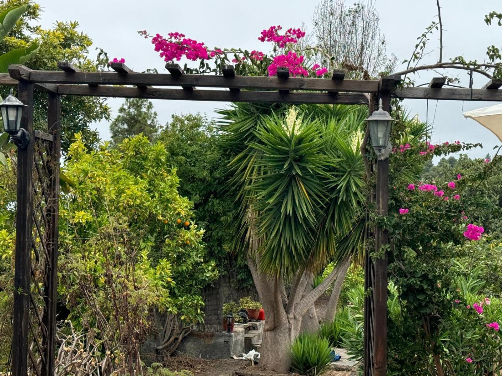فيلا Oasis Hill Botanical Garden إيكود ذي لوس فينوس المظهر الخارجي الصورة