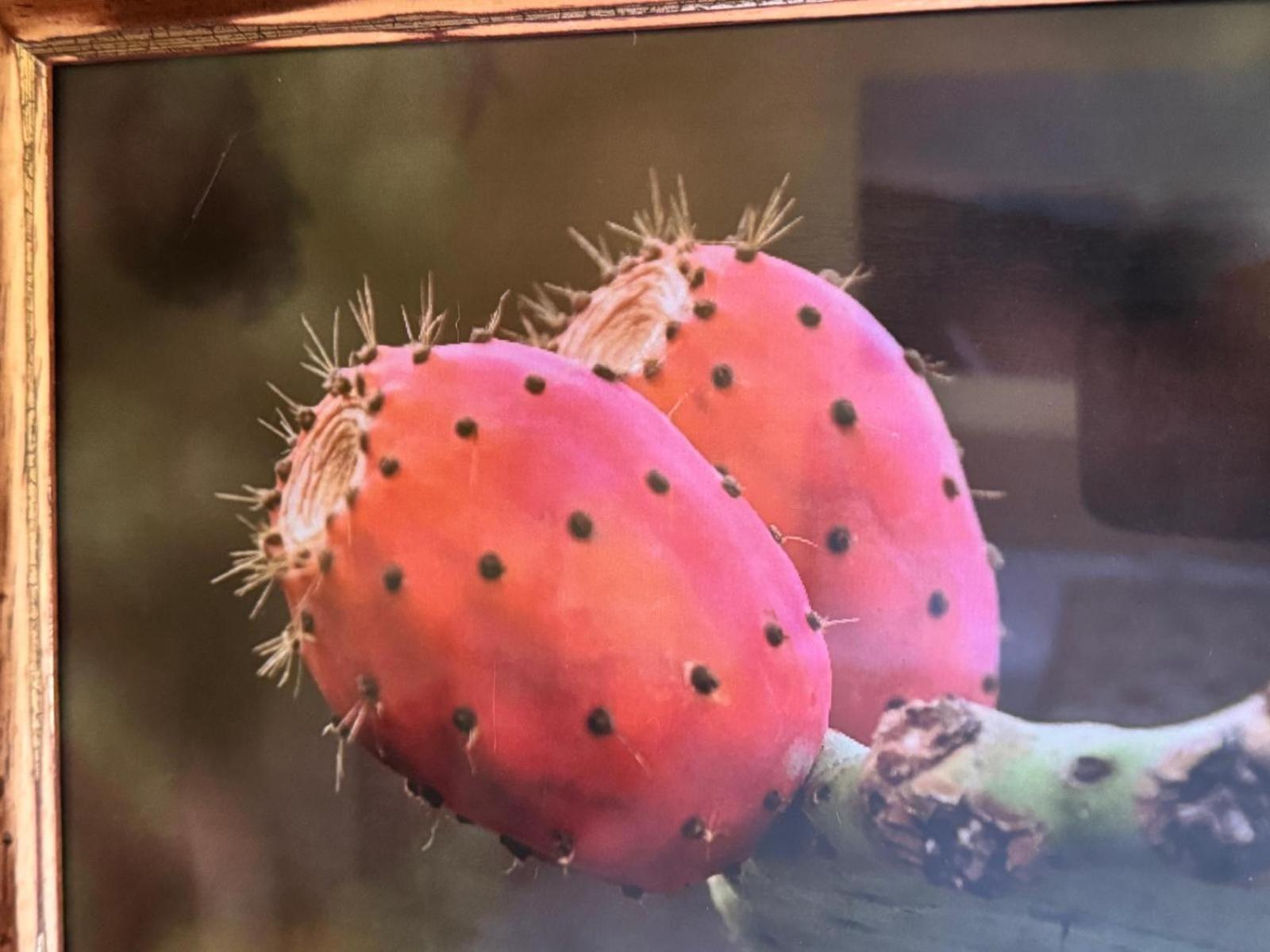 فيلا Oasis Hill Botanical Garden إيكود ذي لوس فينوس المظهر الخارجي الصورة